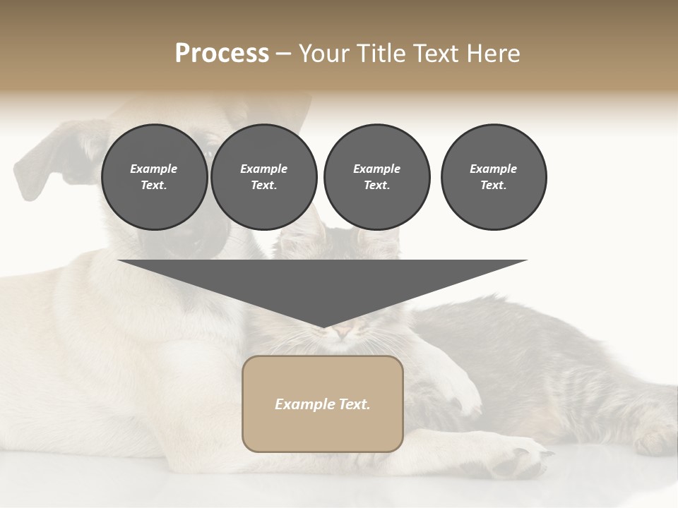 Muzzle Funny Youth PowerPoint Template