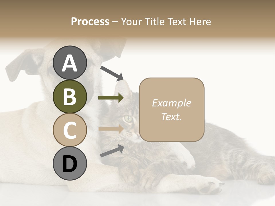 Muzzle Funny Youth PowerPoint Template