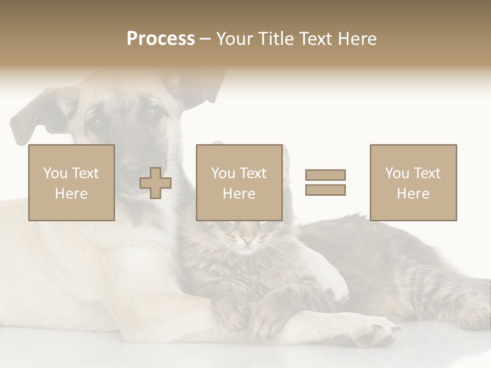 Muzzle Funny Youth PowerPoint Template