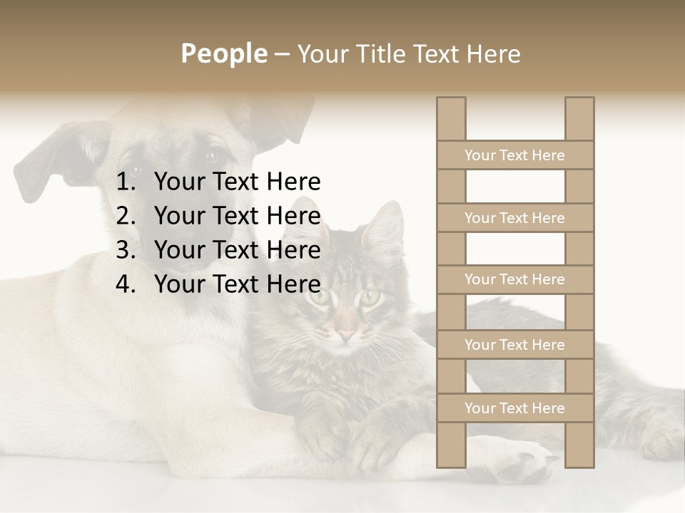 Muzzle Funny Youth PowerPoint Template