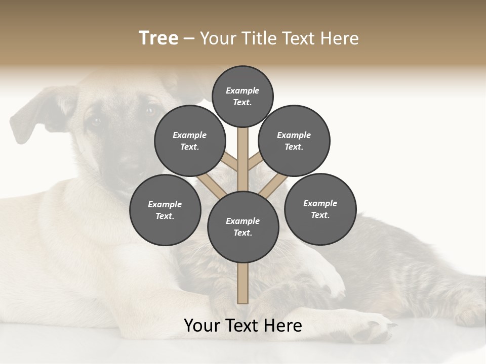 Muzzle Funny Youth PowerPoint Template