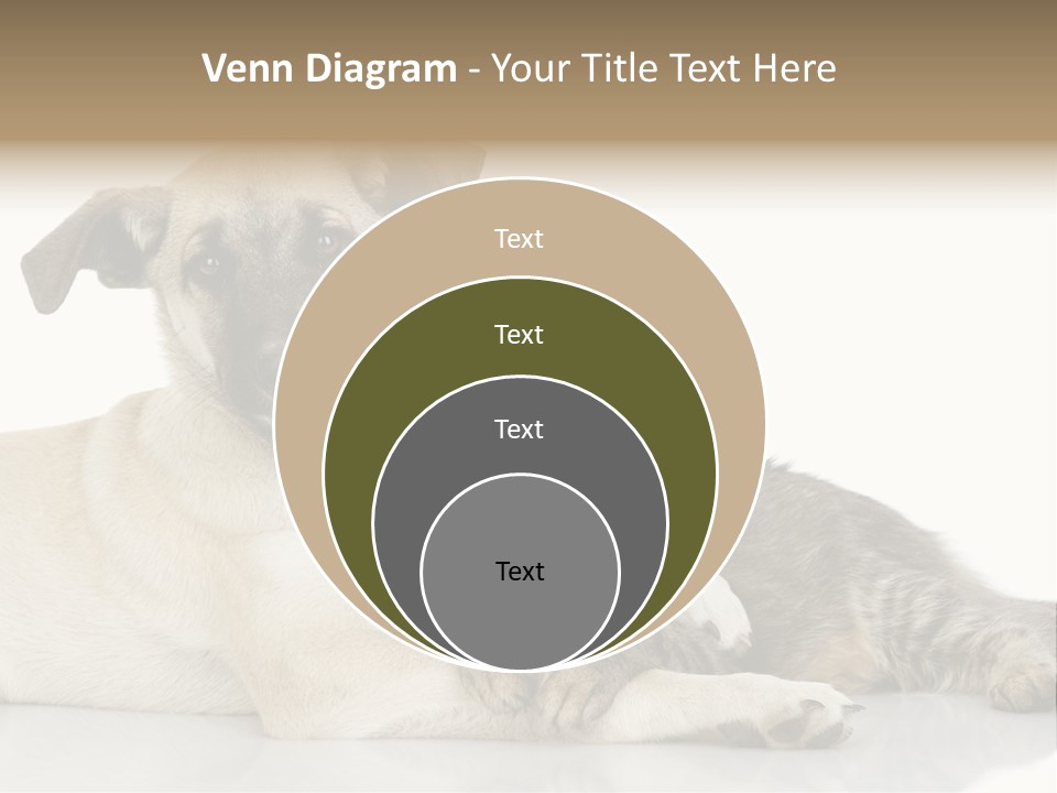 Muzzle Funny Youth PowerPoint Template