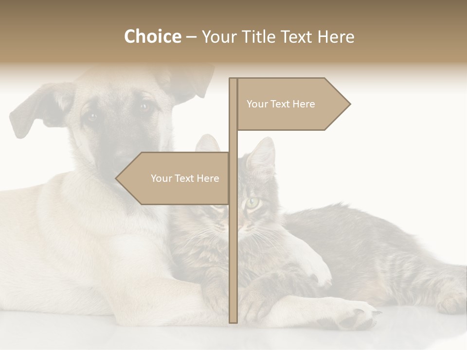 Muzzle Funny Youth PowerPoint Template