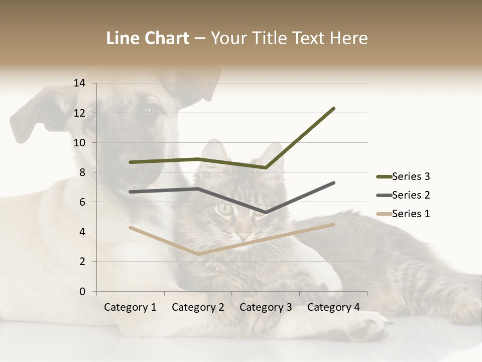 Muzzle Funny Youth PowerPoint Template