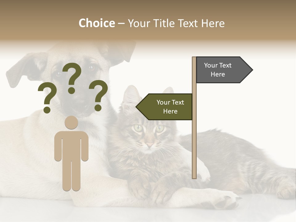 Muzzle Funny Youth PowerPoint Template