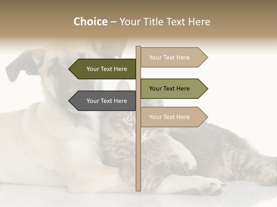 Muzzle Funny Youth PowerPoint Template