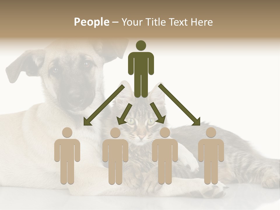 Muzzle Funny Youth PowerPoint Template