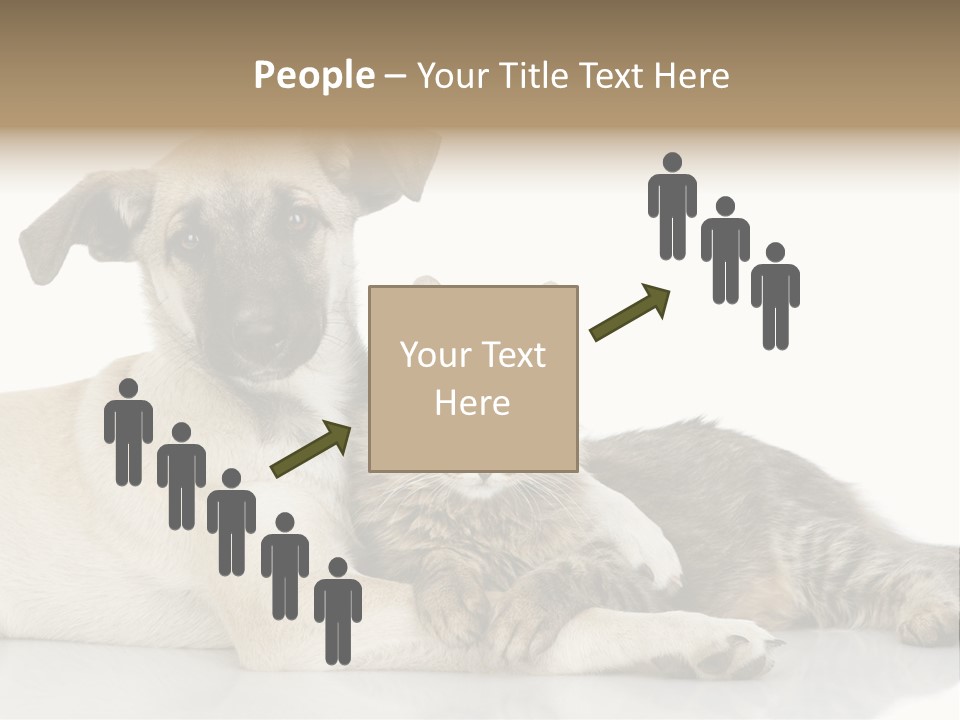 Muzzle Funny Youth PowerPoint Template