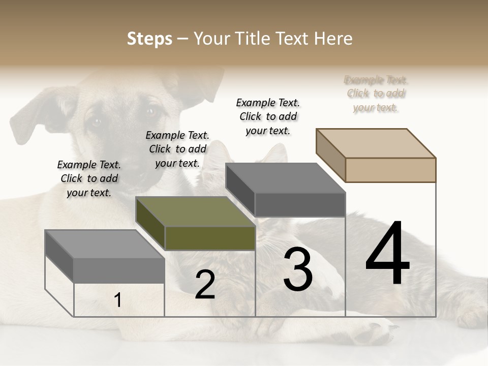 Muzzle Funny Youth PowerPoint Template