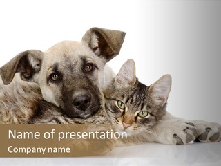 Friendly Portrait Animal PowerPoint Template