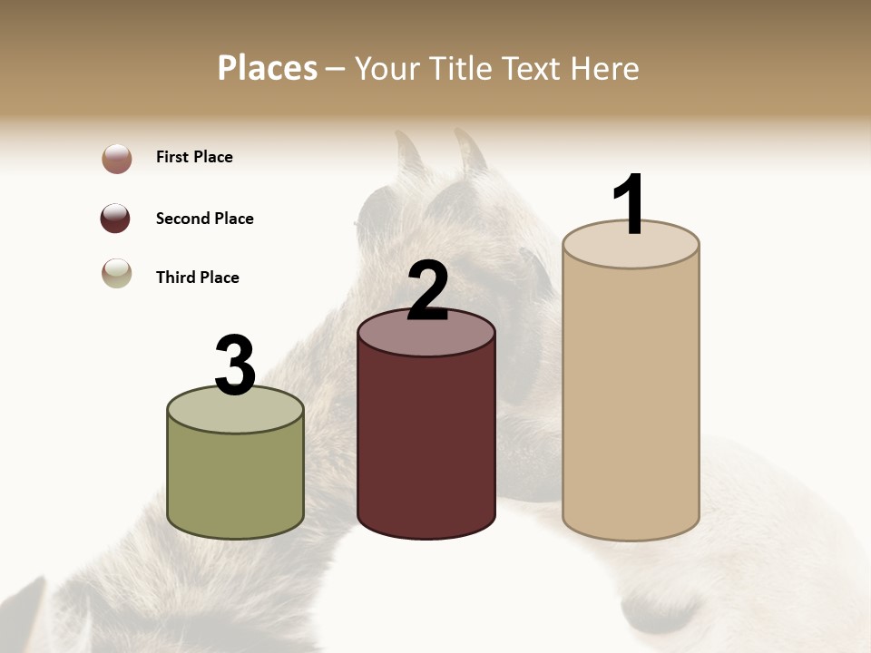 Cat Tenderness Love PowerPoint Template