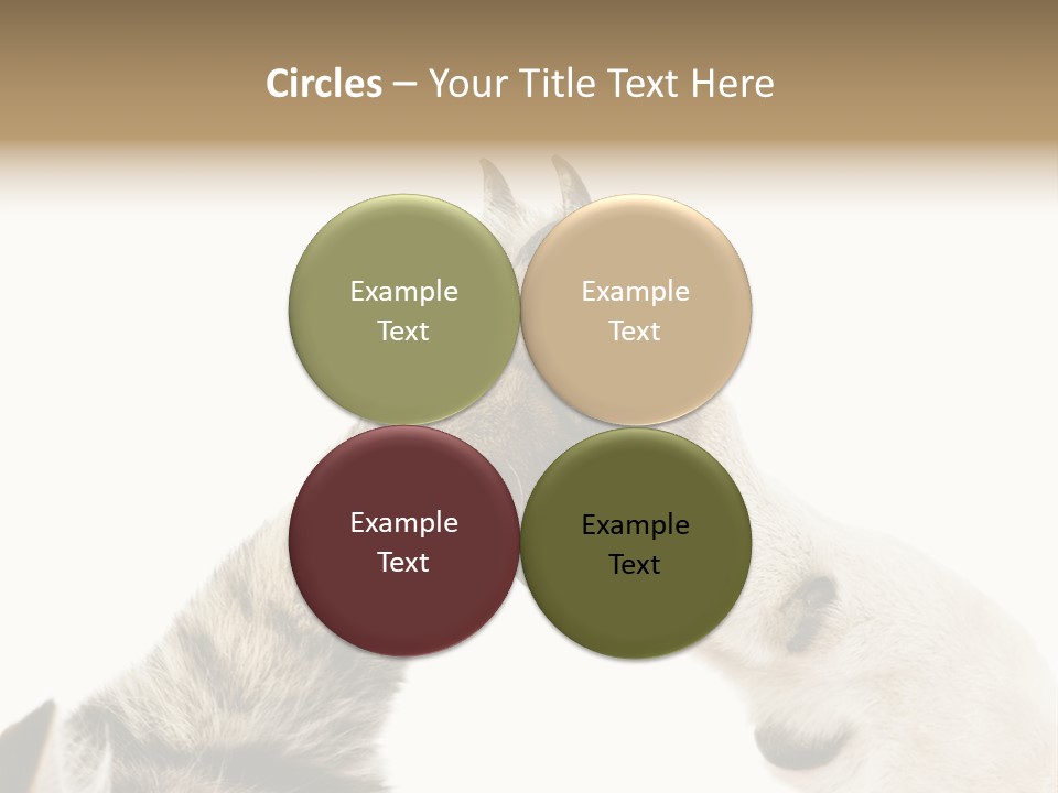 Cat Tenderness Love PowerPoint Template