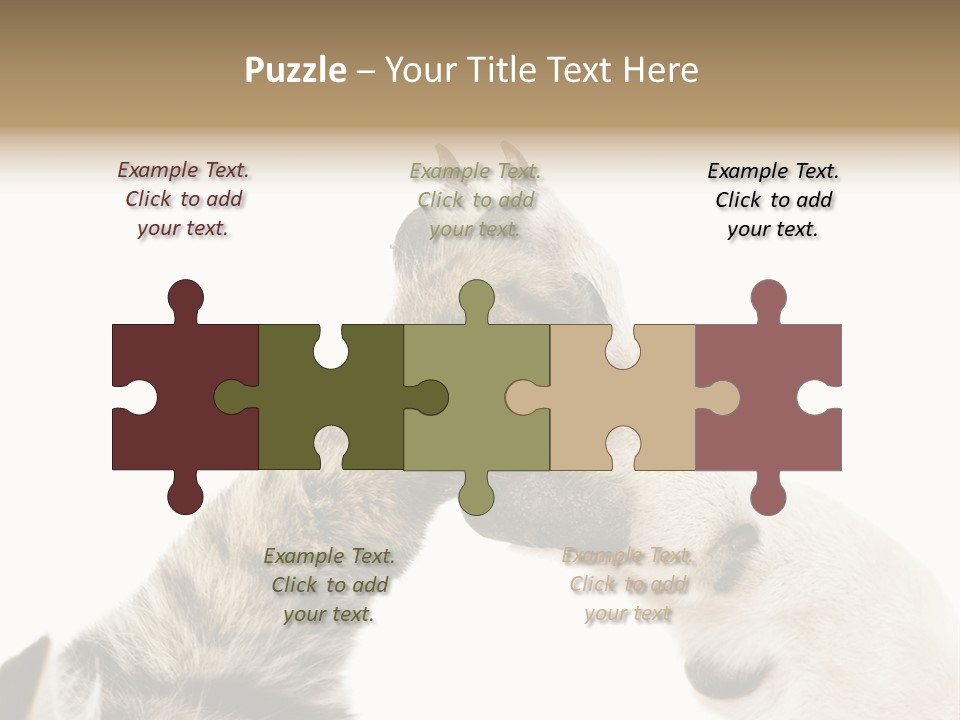 Cat Tenderness Love PowerPoint Template