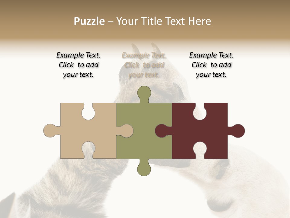 Cat Tenderness Love PowerPoint Template