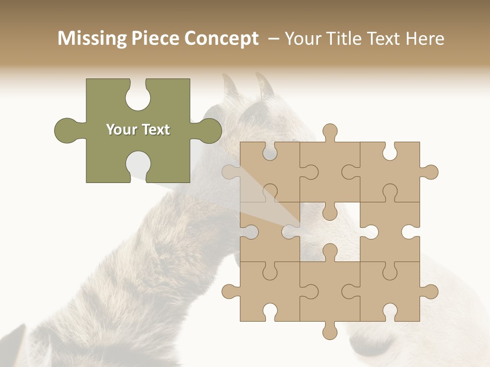 Cat Tenderness Love PowerPoint Template