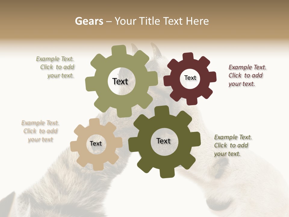 Cat Tenderness Love PowerPoint Template