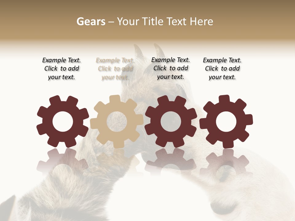 Cat Tenderness Love PowerPoint Template