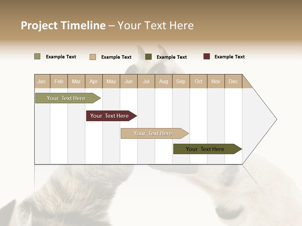 Cat Tenderness Love PowerPoint Template