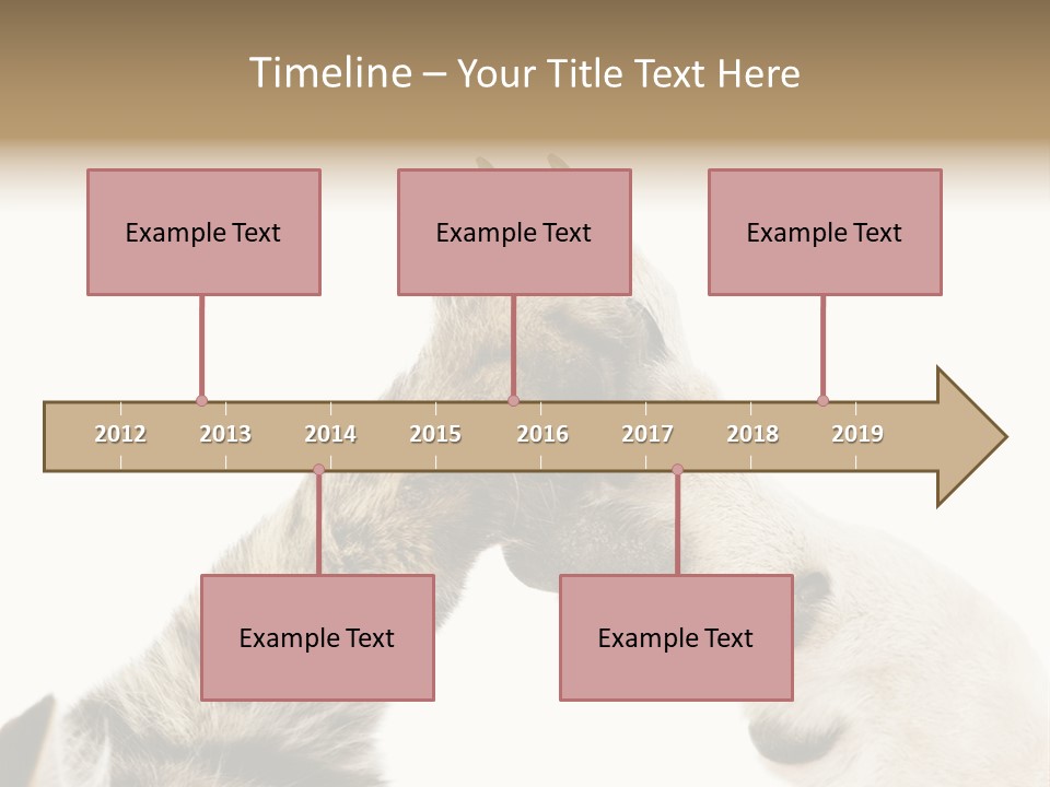 Cat Tenderness Love PowerPoint Template