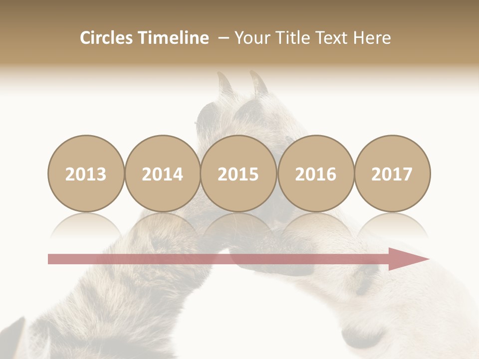 Cat Tenderness Love PowerPoint Template