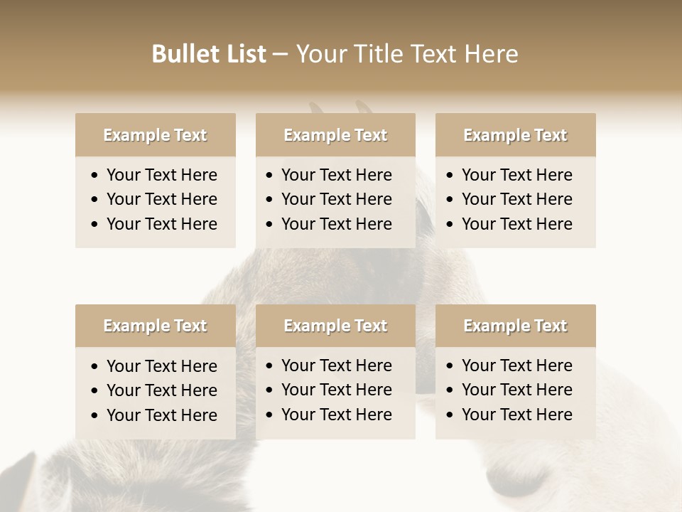 Cat Tenderness Love PowerPoint Template