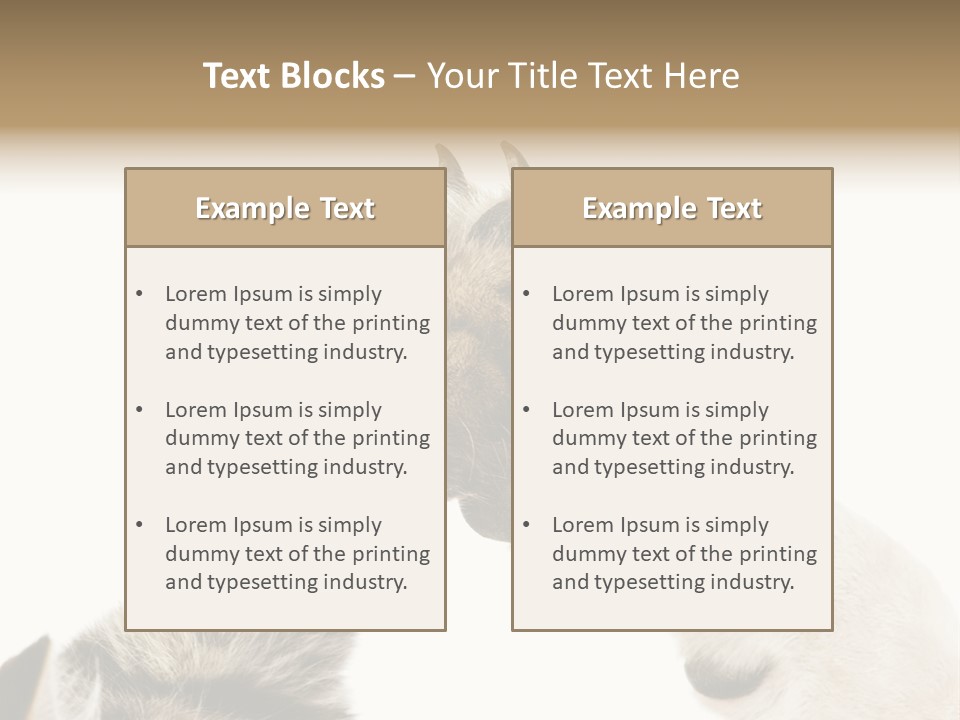 Cat Tenderness Love PowerPoint Template