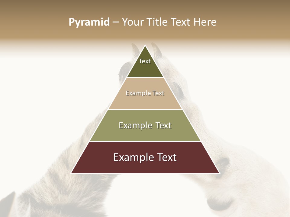 Cat Tenderness Love PowerPoint Template