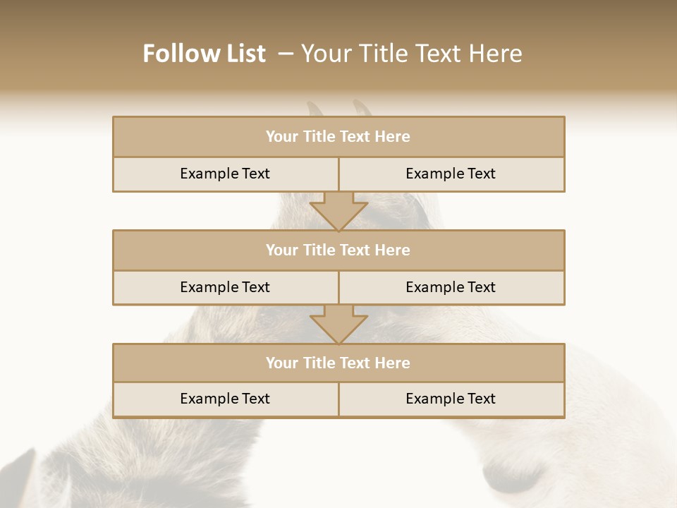 Cat Tenderness Love PowerPoint Template