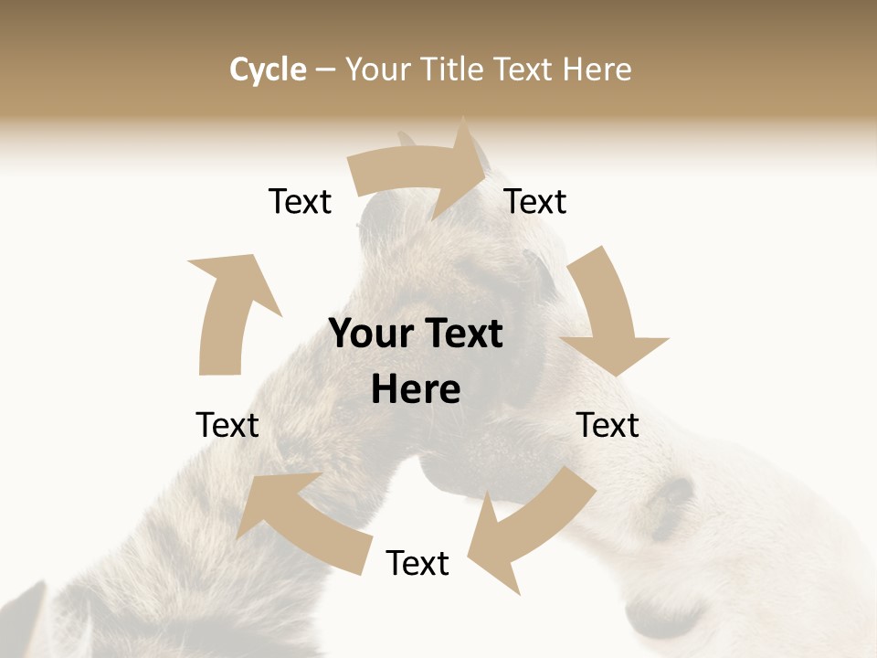 Cat Tenderness Love PowerPoint Template