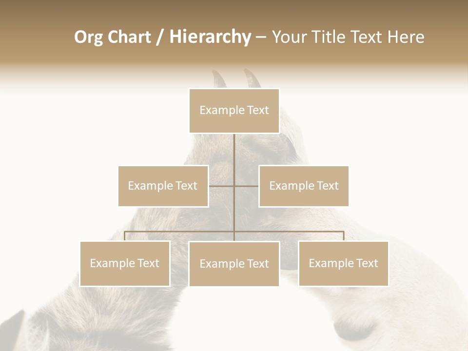 Cat Tenderness Love PowerPoint Template