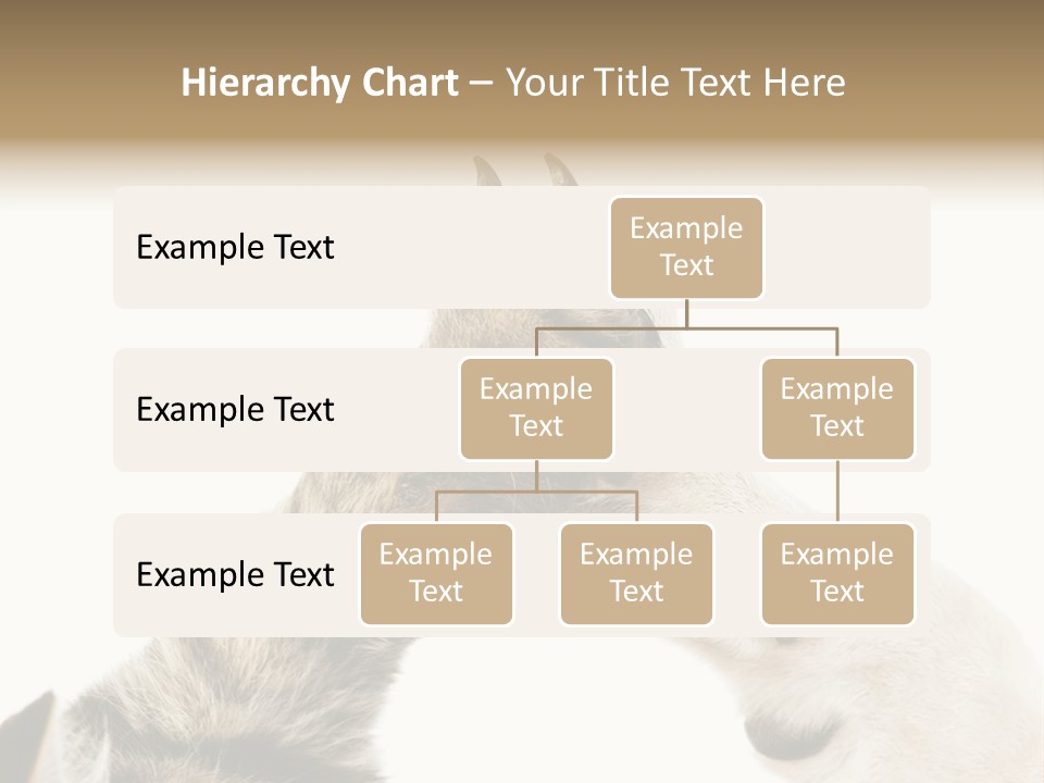 Cat Tenderness Love PowerPoint Template