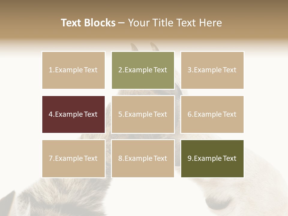 Cat Tenderness Love PowerPoint Template