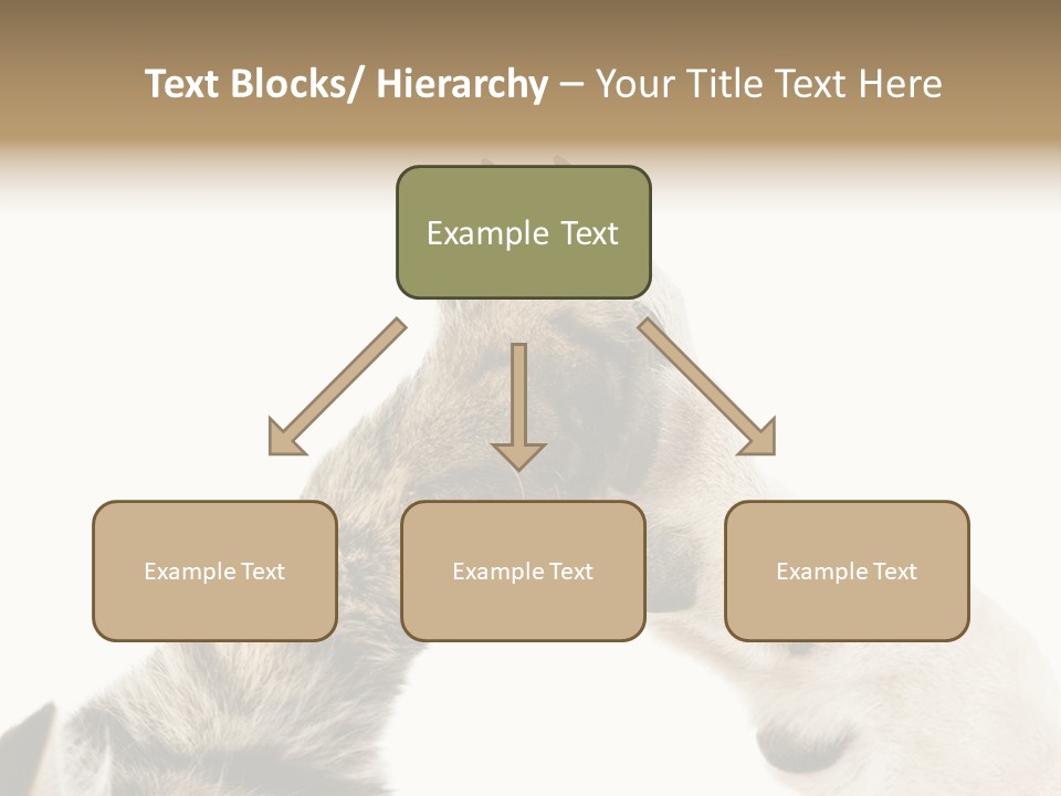 Cat Tenderness Love PowerPoint Template