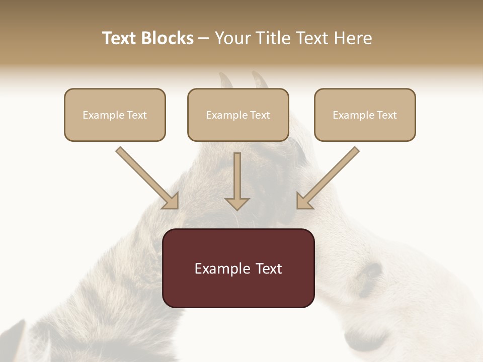 Cat Tenderness Love PowerPoint Template