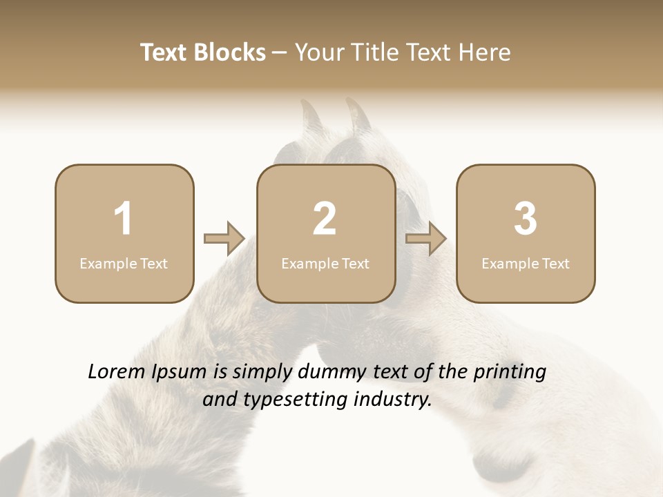 Cat Tenderness Love PowerPoint Template