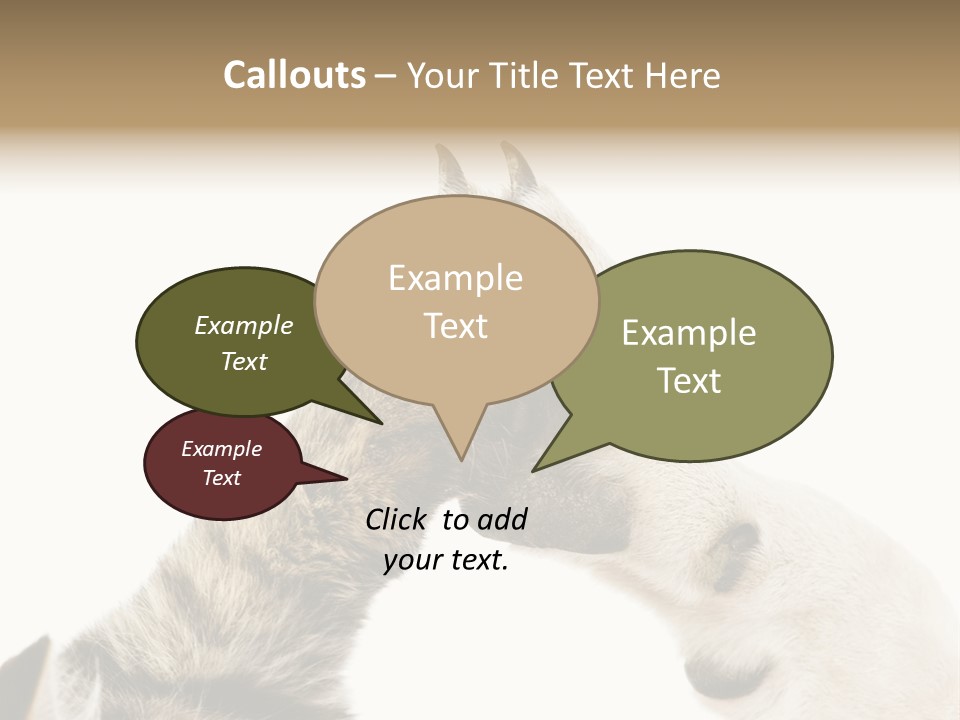 Cat Tenderness Love PowerPoint Template