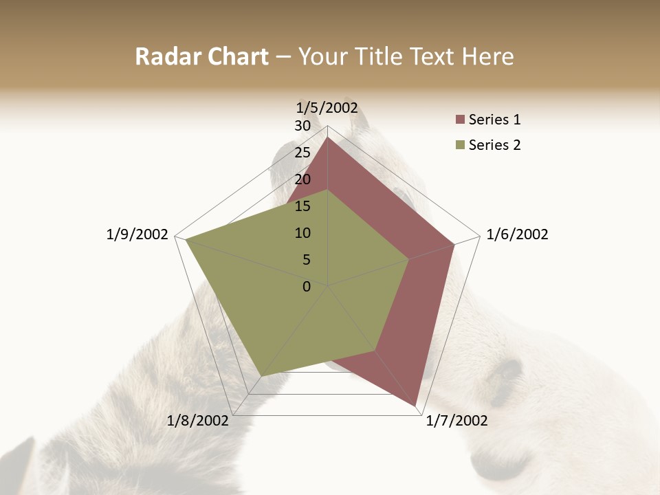 Cat Tenderness Love PowerPoint Template