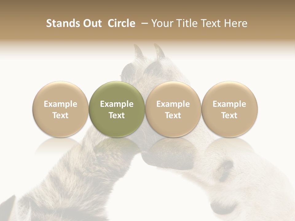 Cat Tenderness Love PowerPoint Template