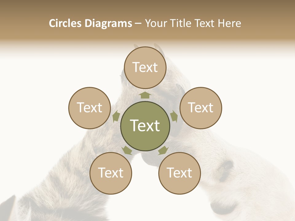 Cat Tenderness Love PowerPoint Template