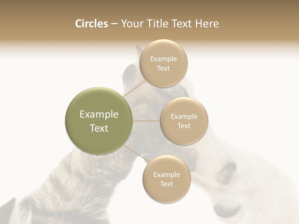 Cat Tenderness Love PowerPoint Template