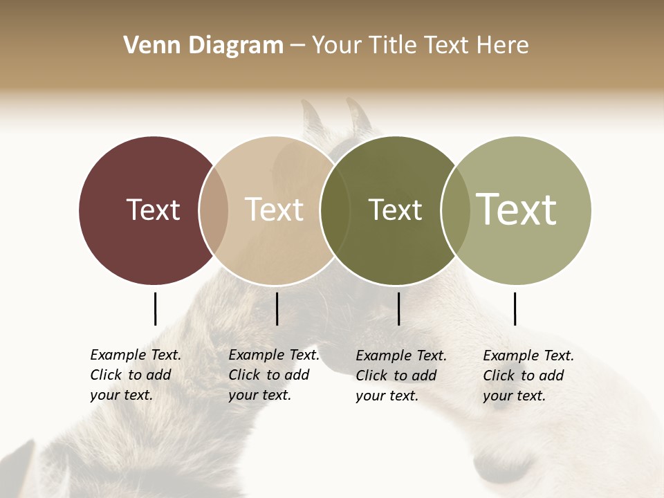 Cat Tenderness Love PowerPoint Template