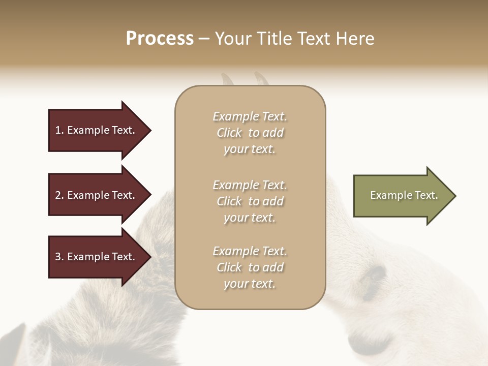 Cat Tenderness Love PowerPoint Template