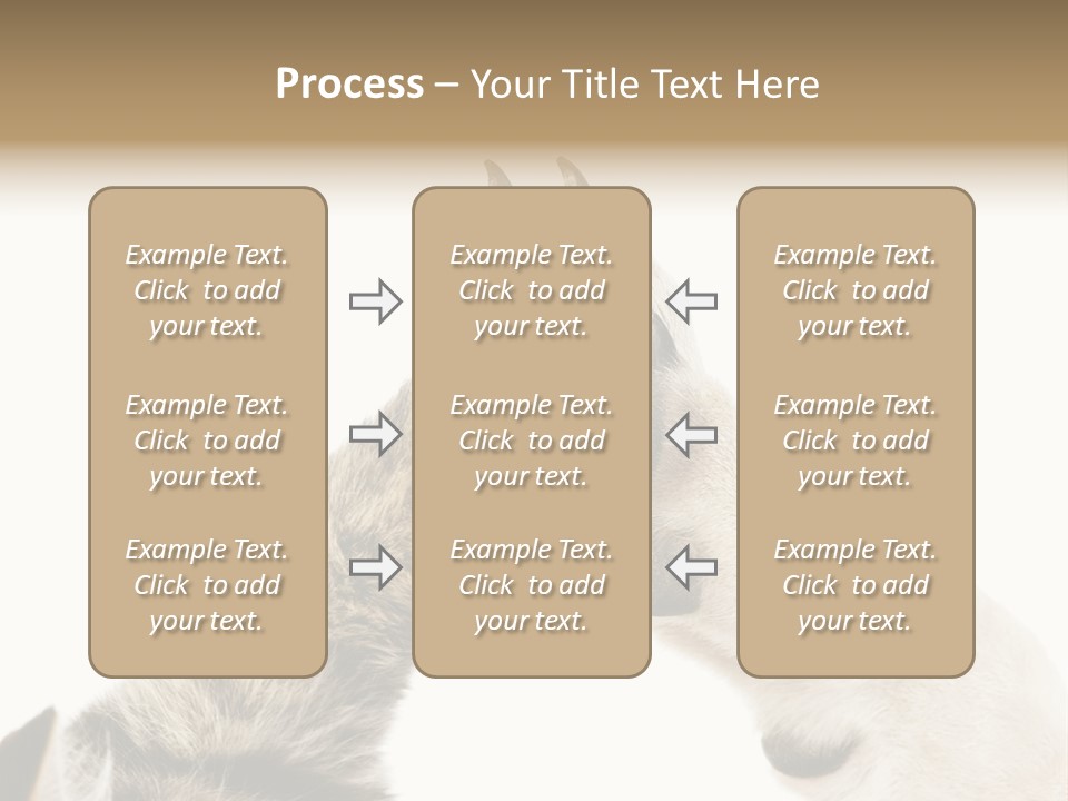 Cat Tenderness Love PowerPoint Template