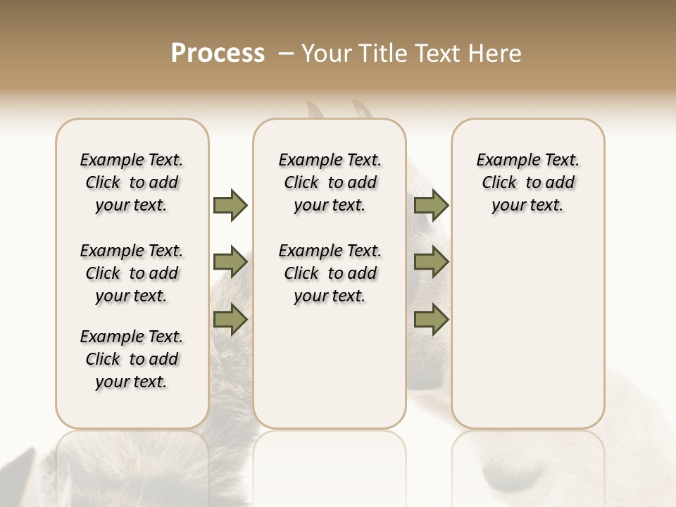 Cat Tenderness Love PowerPoint Template
