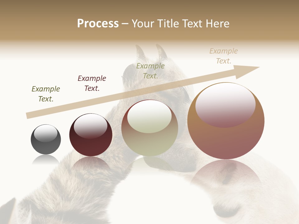 Cat Tenderness Love PowerPoint Template