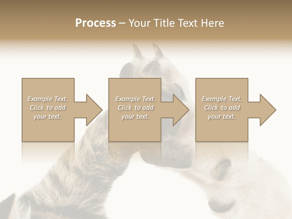 Cat Tenderness Love PowerPoint Template