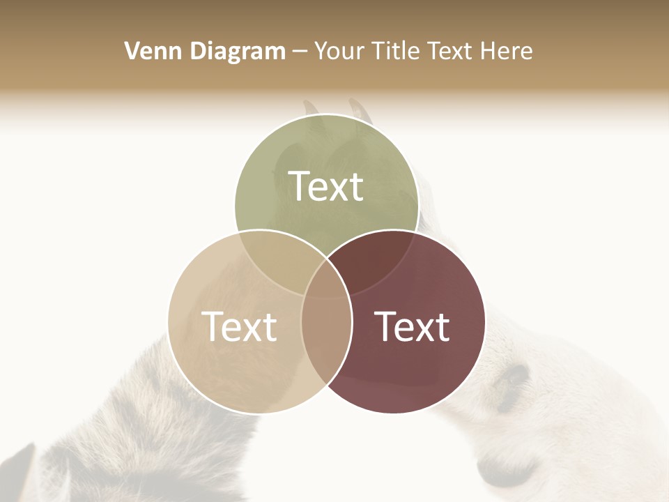 Cat Tenderness Love PowerPoint Template