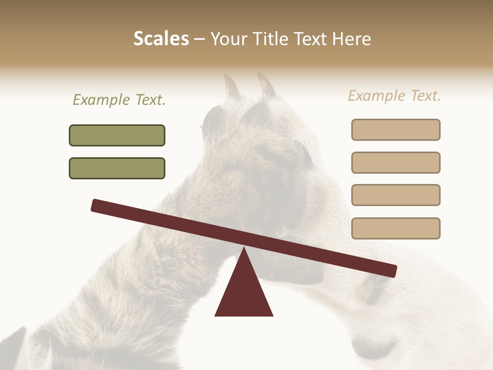 Cat Tenderness Love PowerPoint Template