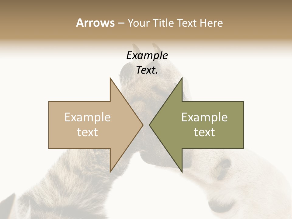 Cat Tenderness Love PowerPoint Template