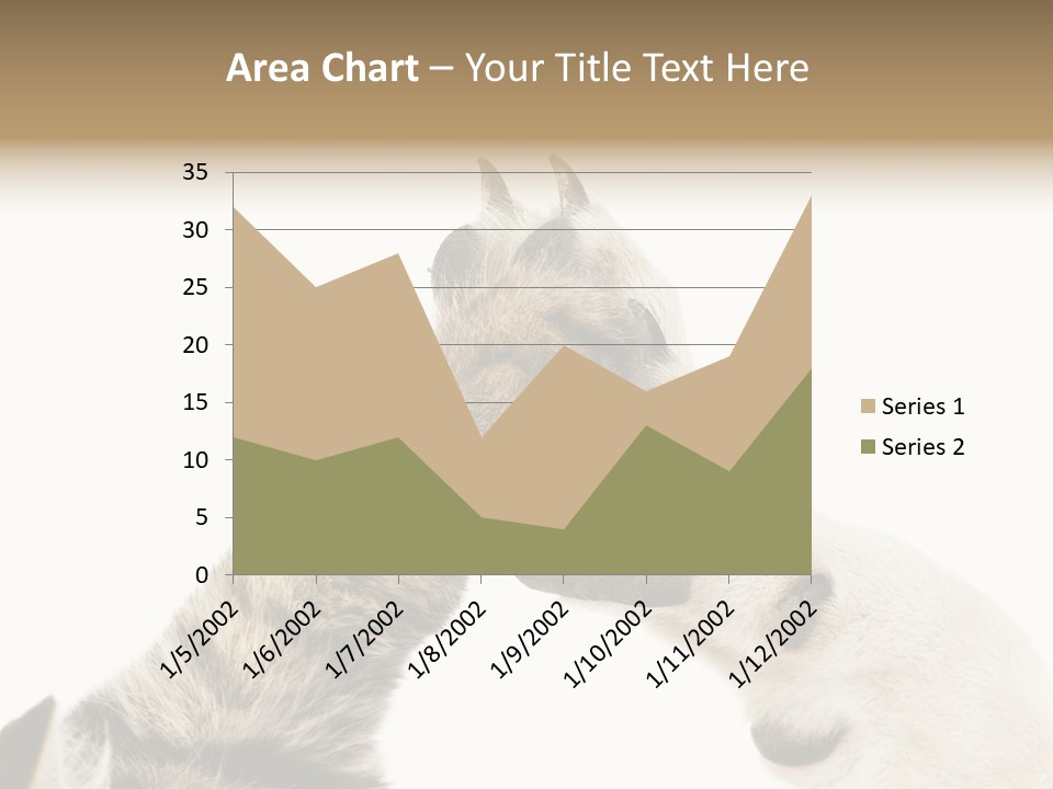 Cat Tenderness Love PowerPoint Template